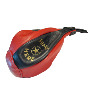 Leather for the Punchball